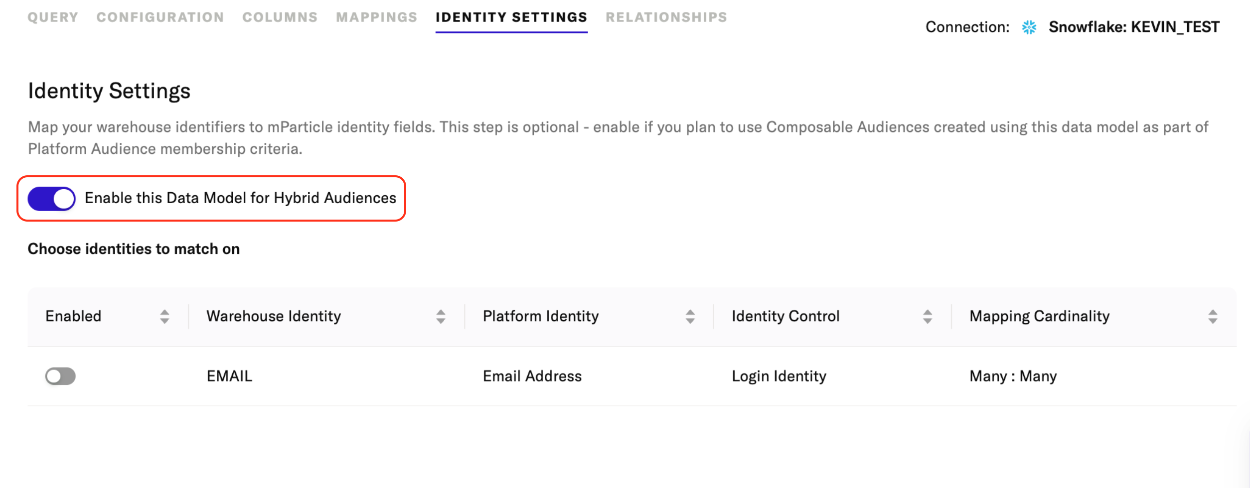 screenshot showing the enable for hybrid audiences toggle