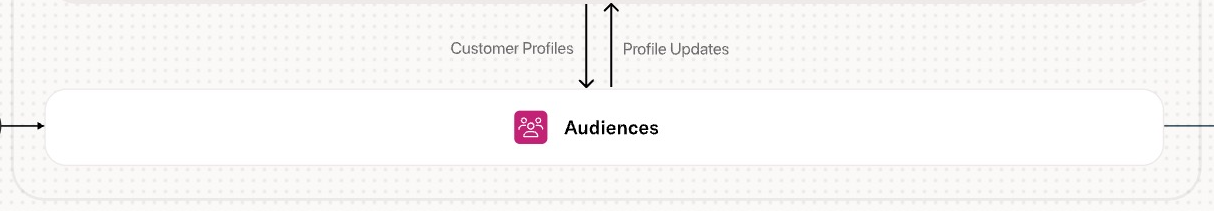 Screenshot showing the audiences tile in the overview map
