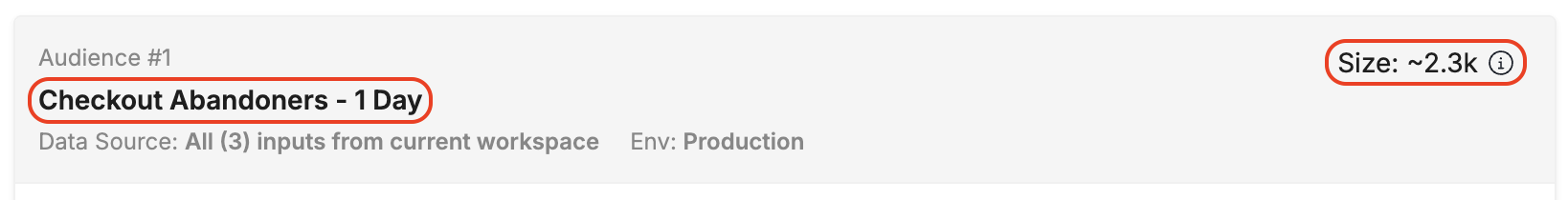 Audience definition card showing the name and size of the audience