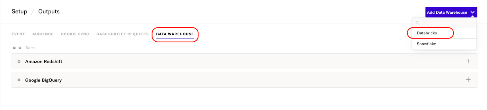 screenshot showing the data warehouse tab of the setup outputs page in the mParticle UI