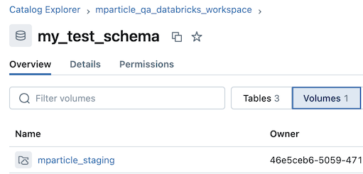 screenshot showing the example schema in the Databricks UI