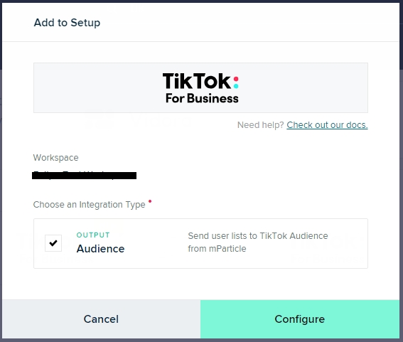 TikTok Configure Audience Output