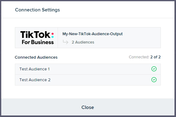 TikTok Connect Audiences Success