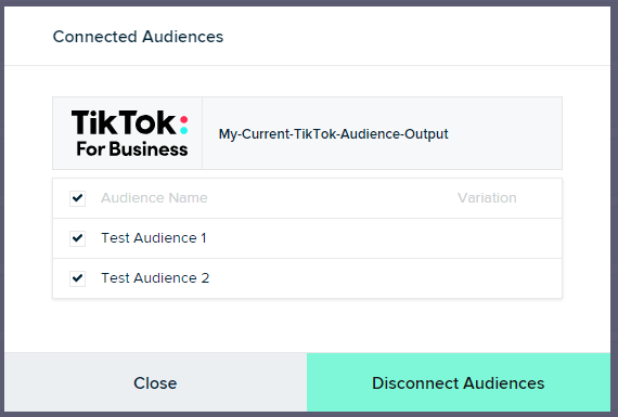 TikTok Disconnect Audience